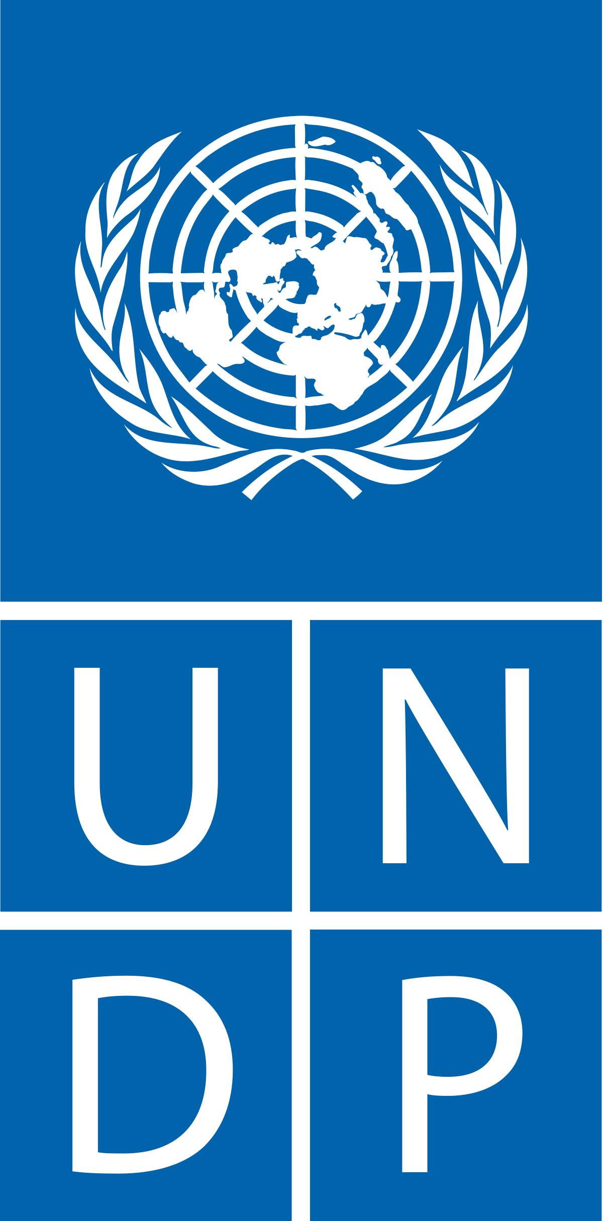  UNDP in Cameroon