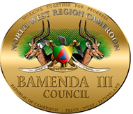 Bamenda III Council