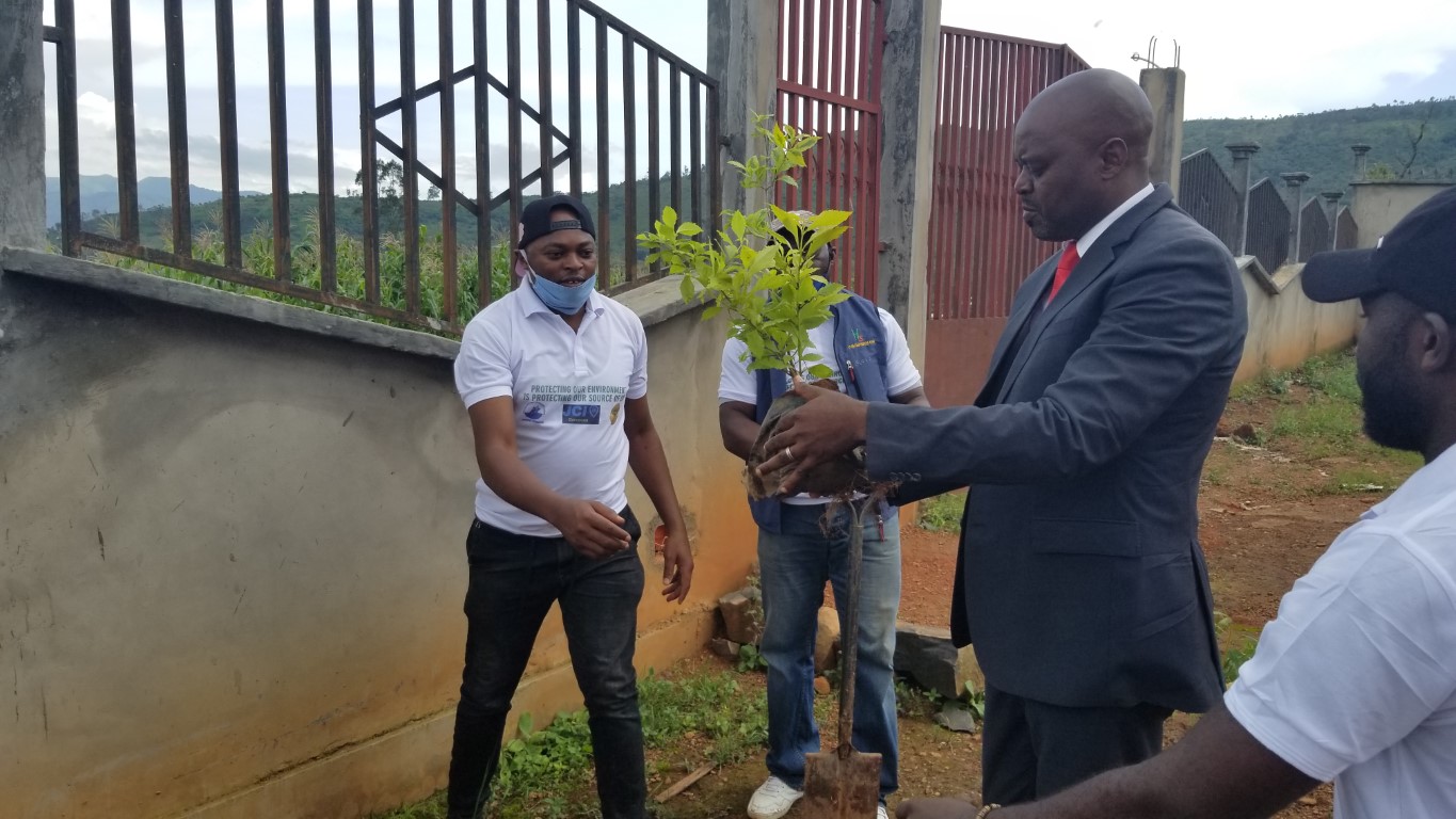 Environmental Sustainability
