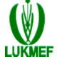 LUKMEF