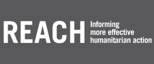 Reach Initiative
