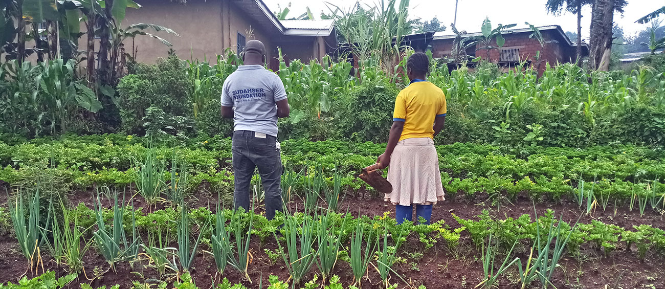 SUDAHSER promotes market guardening activities in rural communities